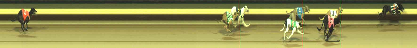 Photo finish for Warragul Race 12