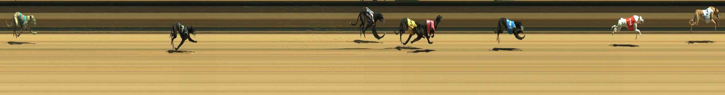 Photo finish for Warragul Race 2