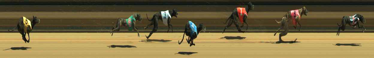 Photo finish for Warragul Race 3