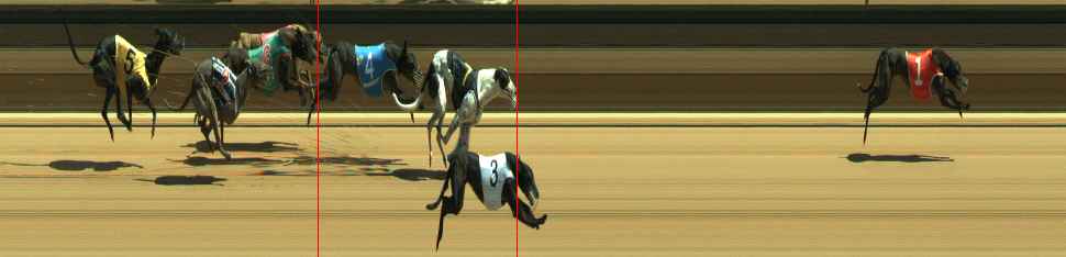 Photo finish for Warragul Race 5
