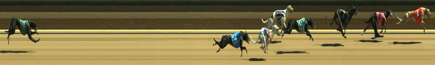 Photo finish for Warragul Race 6