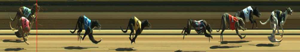 Photo finish for Warragul Race 8
