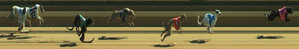 Photo finish for Warragul Race 10