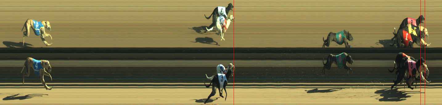 Photo finish for Warragul Race 11