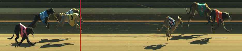 Photo finish for Warragul Race 12