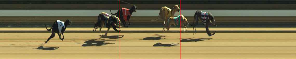 Photo finish for Warragul Race 2
