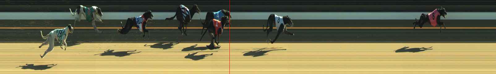 Photo finish for Warragul Race 3