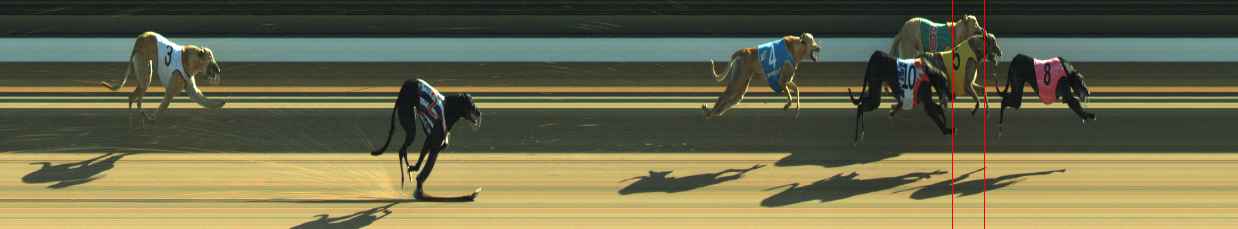 Photo finish for Warragul Race 4