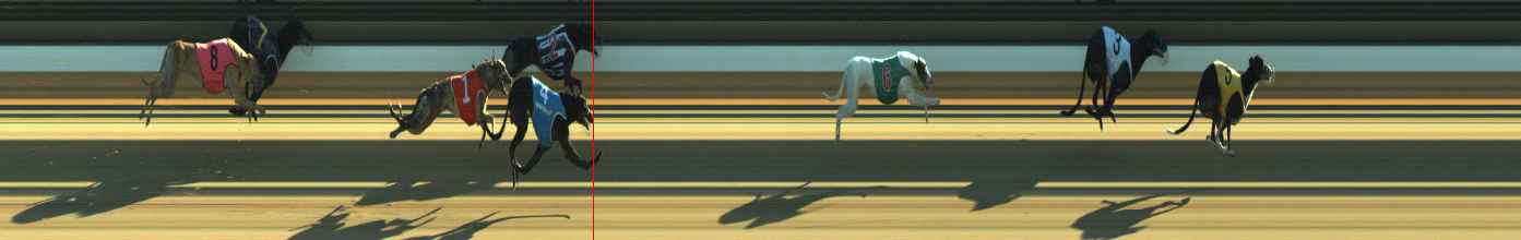 Photo finish for Warragul Race 5