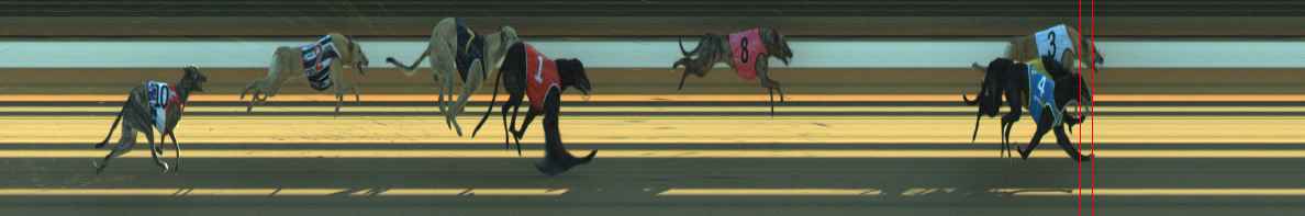 Photo finish for Warragul Race 6