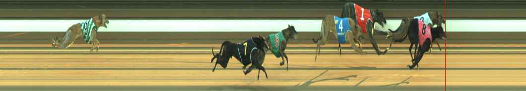 Photo finish for Warragul Race 7