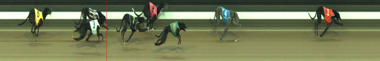Photo finish for Warragul Race 8