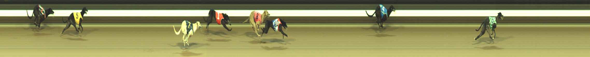 Photo finish for Warragul Race 9