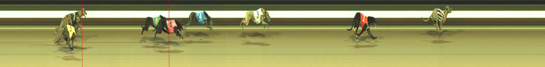 Photo finish for Warragul Race 10