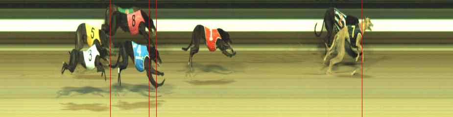Photo finish for Warragul Race 11