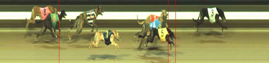 Photo finish for Warragul Race 12