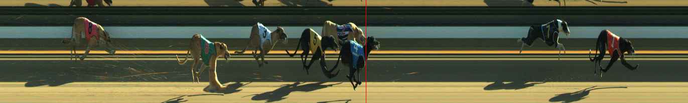 Photo finish for Warragul Race 2