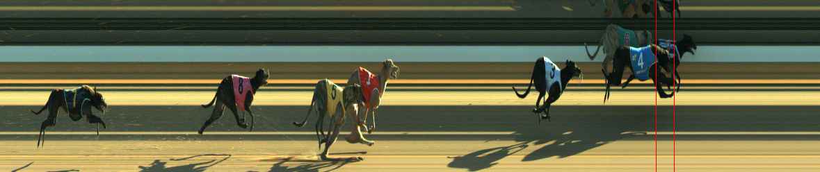 Photo finish for Warragul Race 3