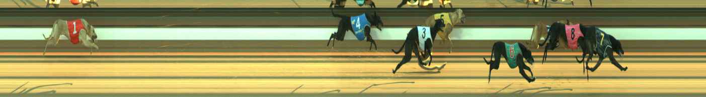 Photo finish for Warragul Race 5