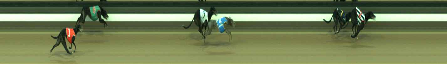 Photo finish for Warragul Race 6