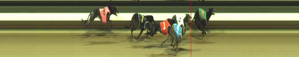 Photo finish for Warragul Race 10