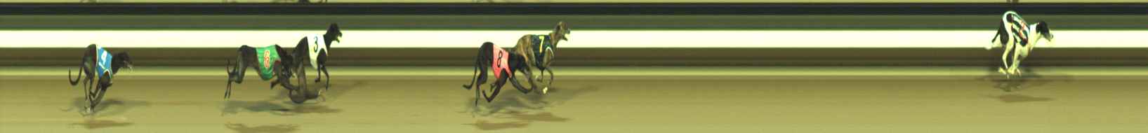 Photo finish for Warragul Race 11