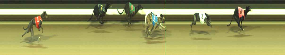 Photo finish for Warragul Race 12