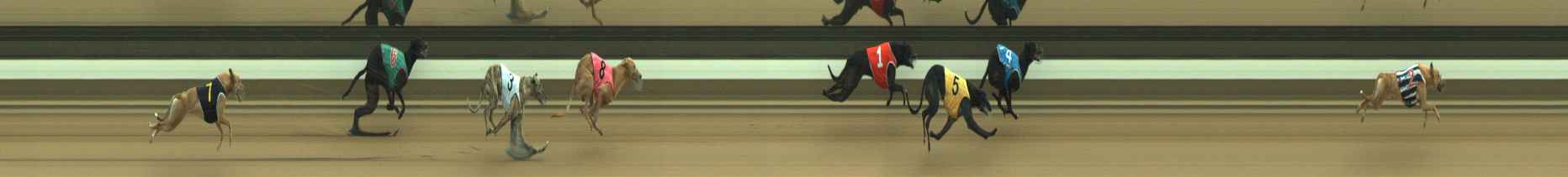 Photo finish for Warragul Race 3