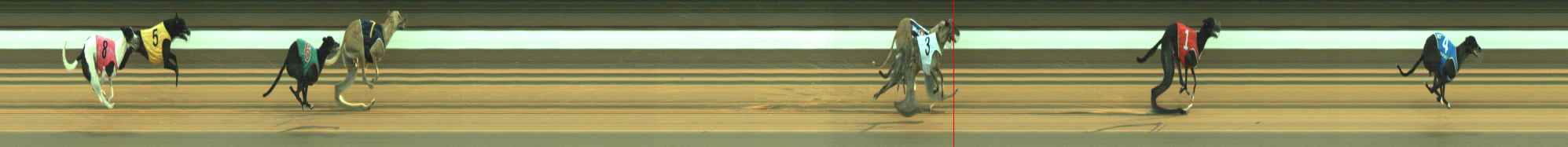 Photo finish for Warragul Race 5
