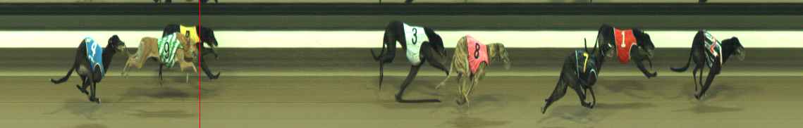 Photo finish for Warragul Race 6