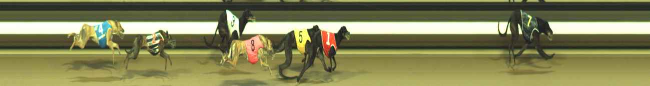 Photo finish for Warragul Race 8