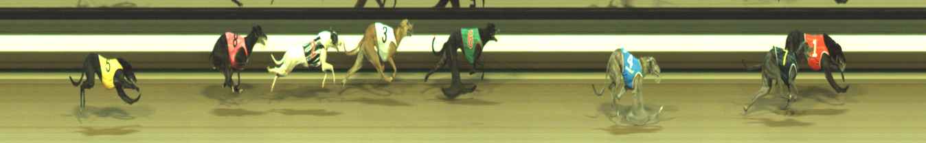 Photo finish for Warragul Race 11