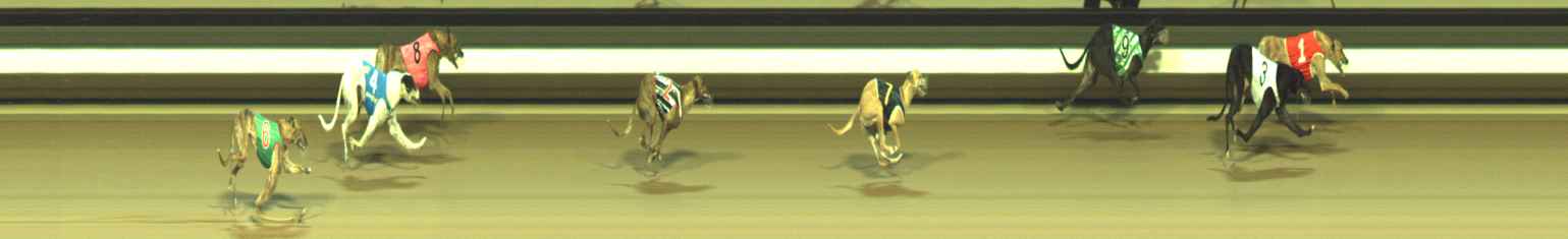 Photo finish for Warragul Race 12