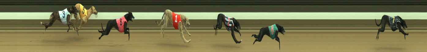 Photo finish for Warragul Race 3