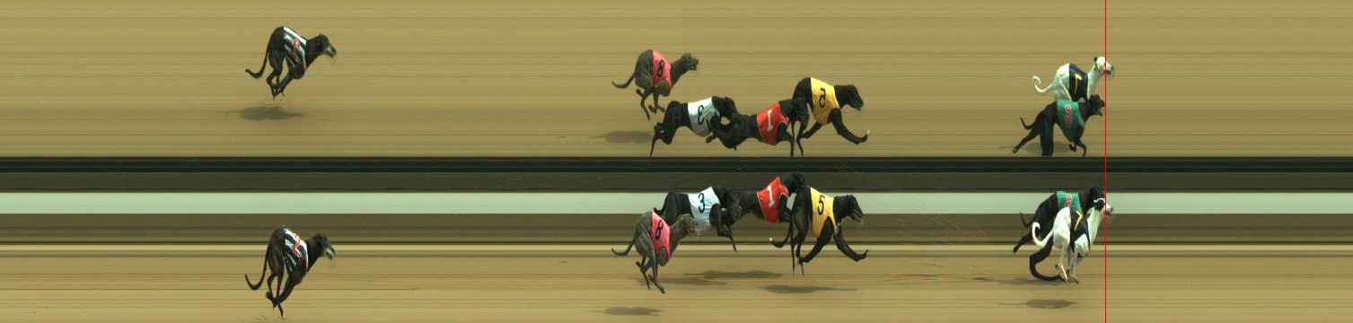 Photo finish for Warragul Race 5