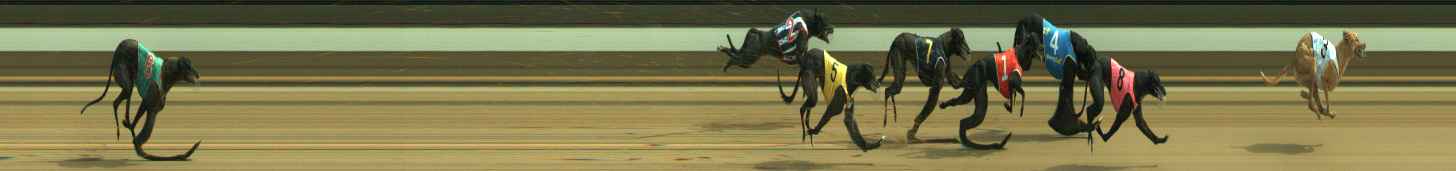 Photo finish for Warragul Race 8