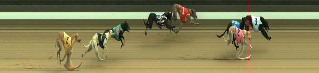 Photo finish for Warragul Race 9