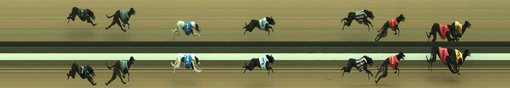 Photo finish for Warragul Race 10