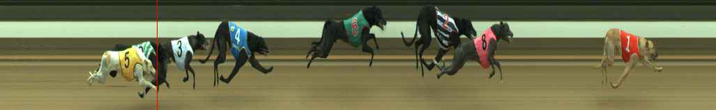 Photo finish for Warragul Race 11