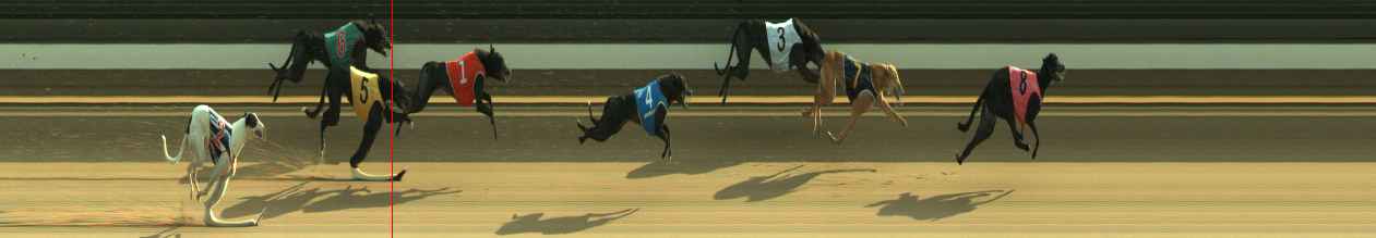 Photo finish for Warragul Race 1