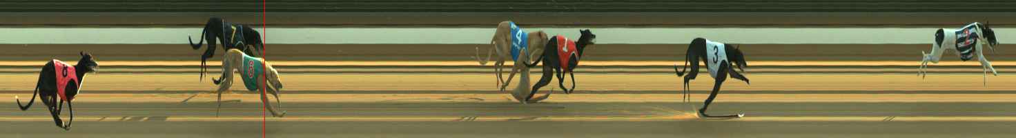 Photo finish for Warragul Race 3