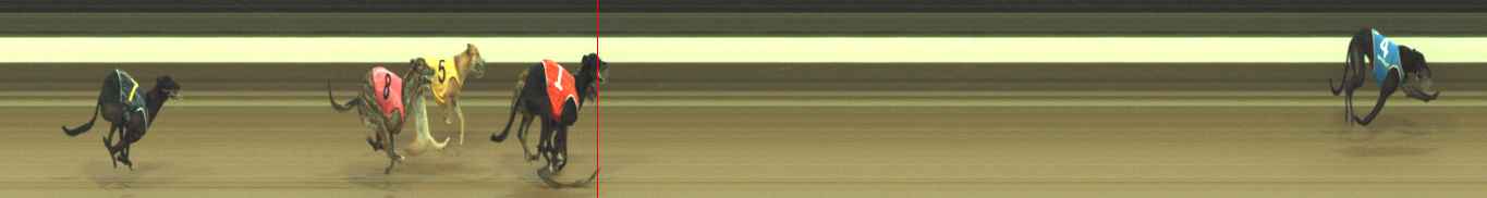 Photo finish for Warragul Race 5
