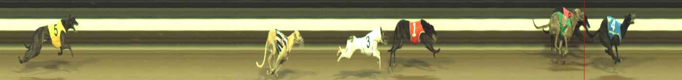 Photo finish for Warragul Race 6