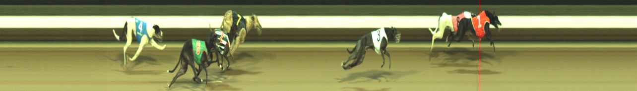Photo finish for Warragul Race 7