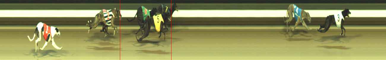 Photo finish for Warragul Race 8