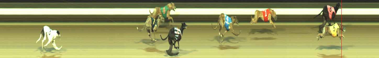 Photo finish for Warragul Race 9