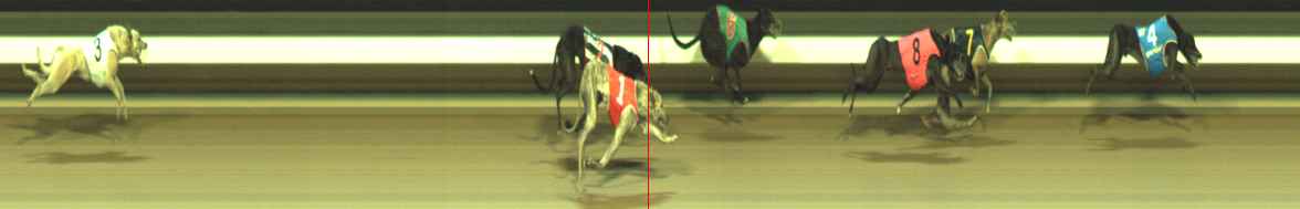 Photo finish for Warragul Race 10