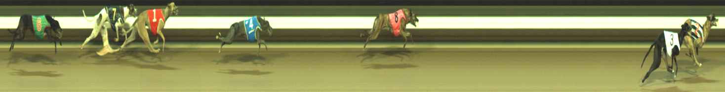 Photo finish for Warragul Race 11