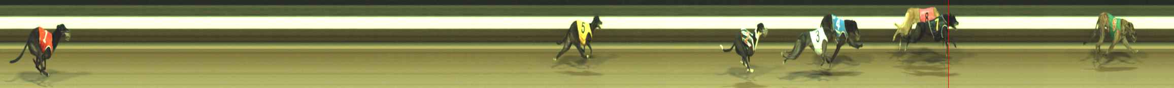 Photo finish for Warragul Race 12