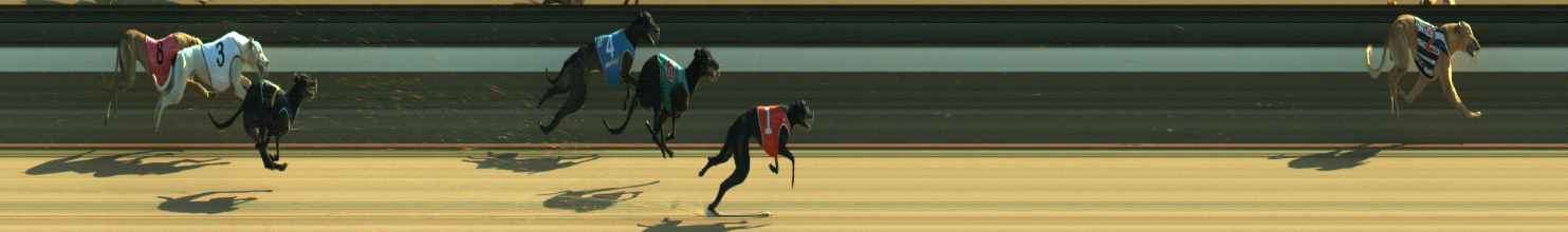 Photo finish for Warragul Race 1
